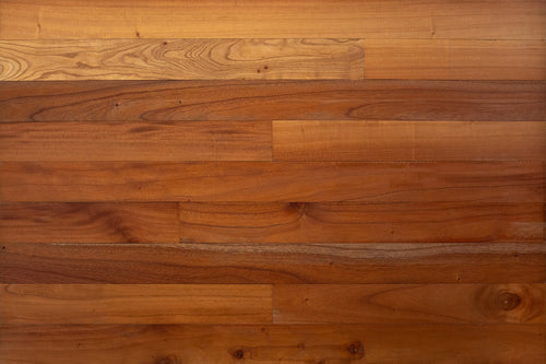 Cedar