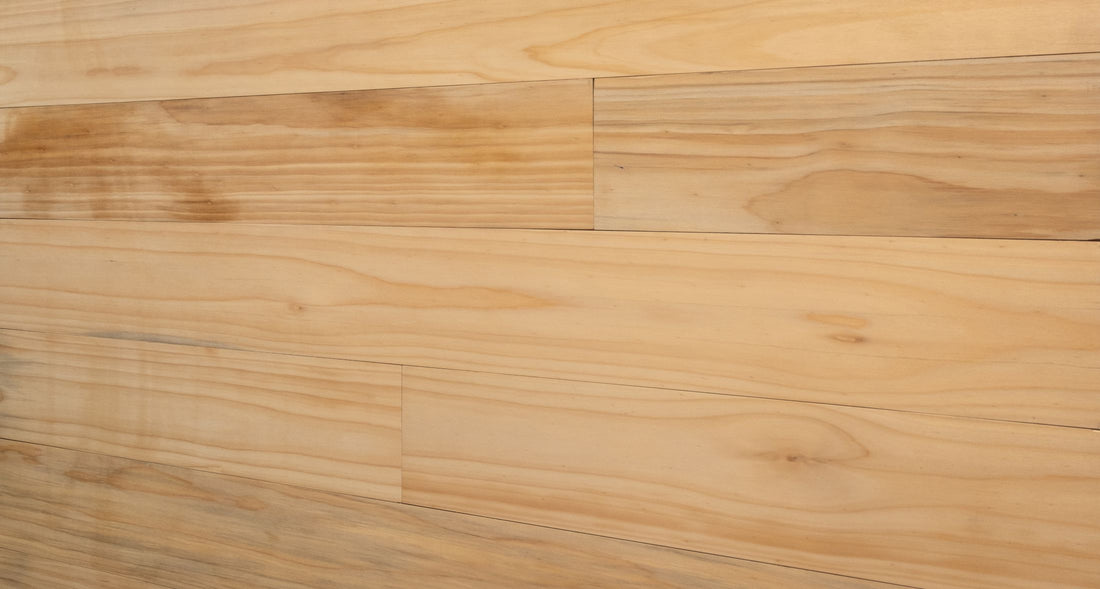 Araucaria Gold wood wall planks, front view