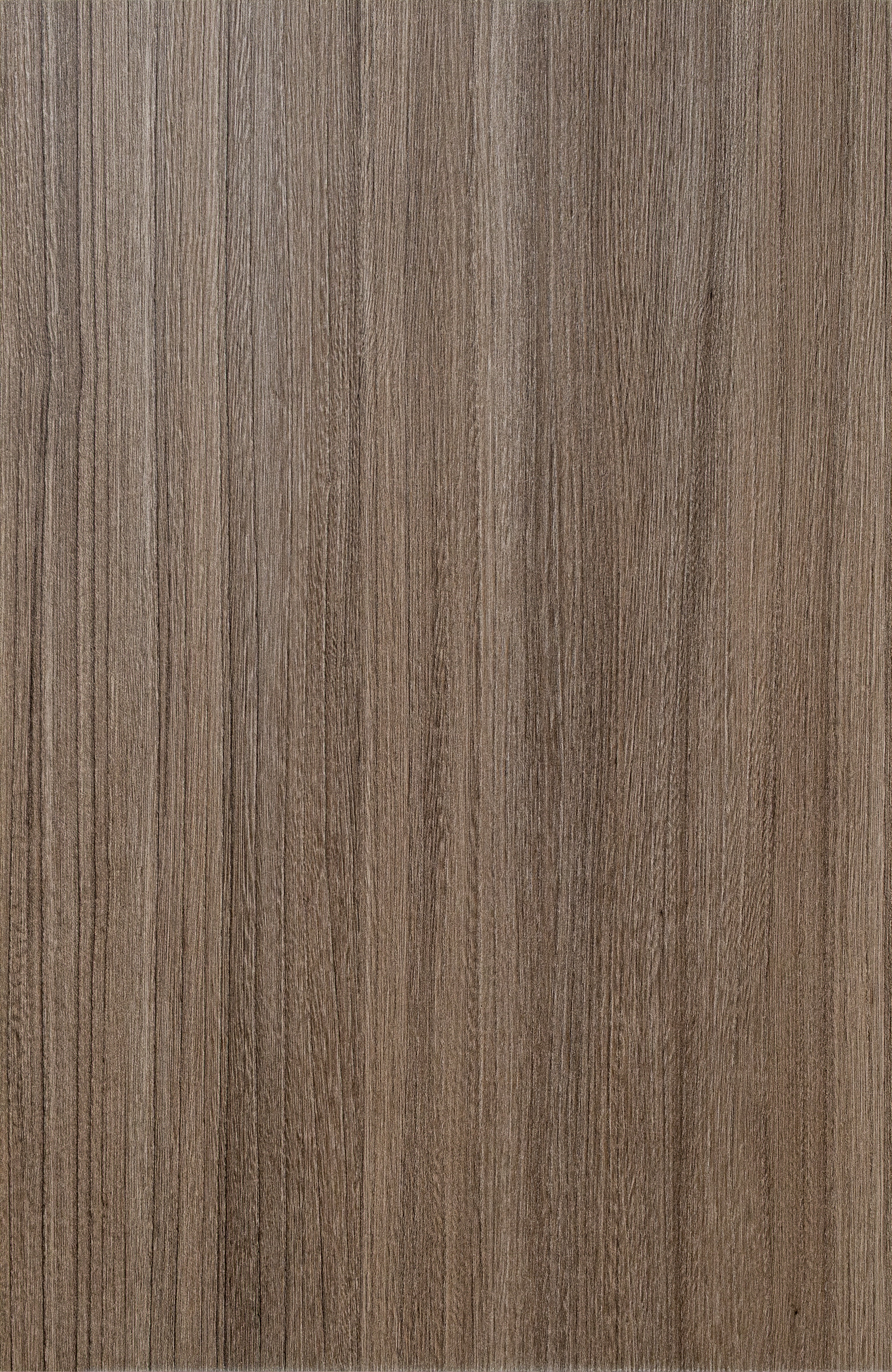LOFT Silver Oak · Smooth — Designer Peel & Stick Wall Panel