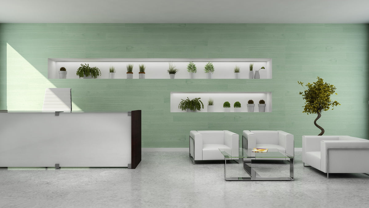 Green color-washed wood accent wall, interior view