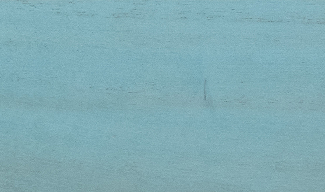 Muestra de madera TERRA Princess Tree · Sky Blue