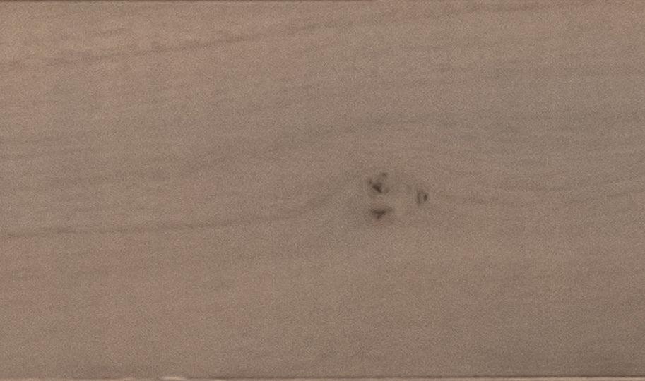 Muestra de madera TERRA Princess Tree · Weathered Gray