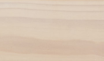 Muestra de madera TERRA Pine · White