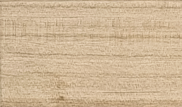 Princess Tree paulownia real wood sample