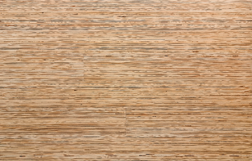 Lines