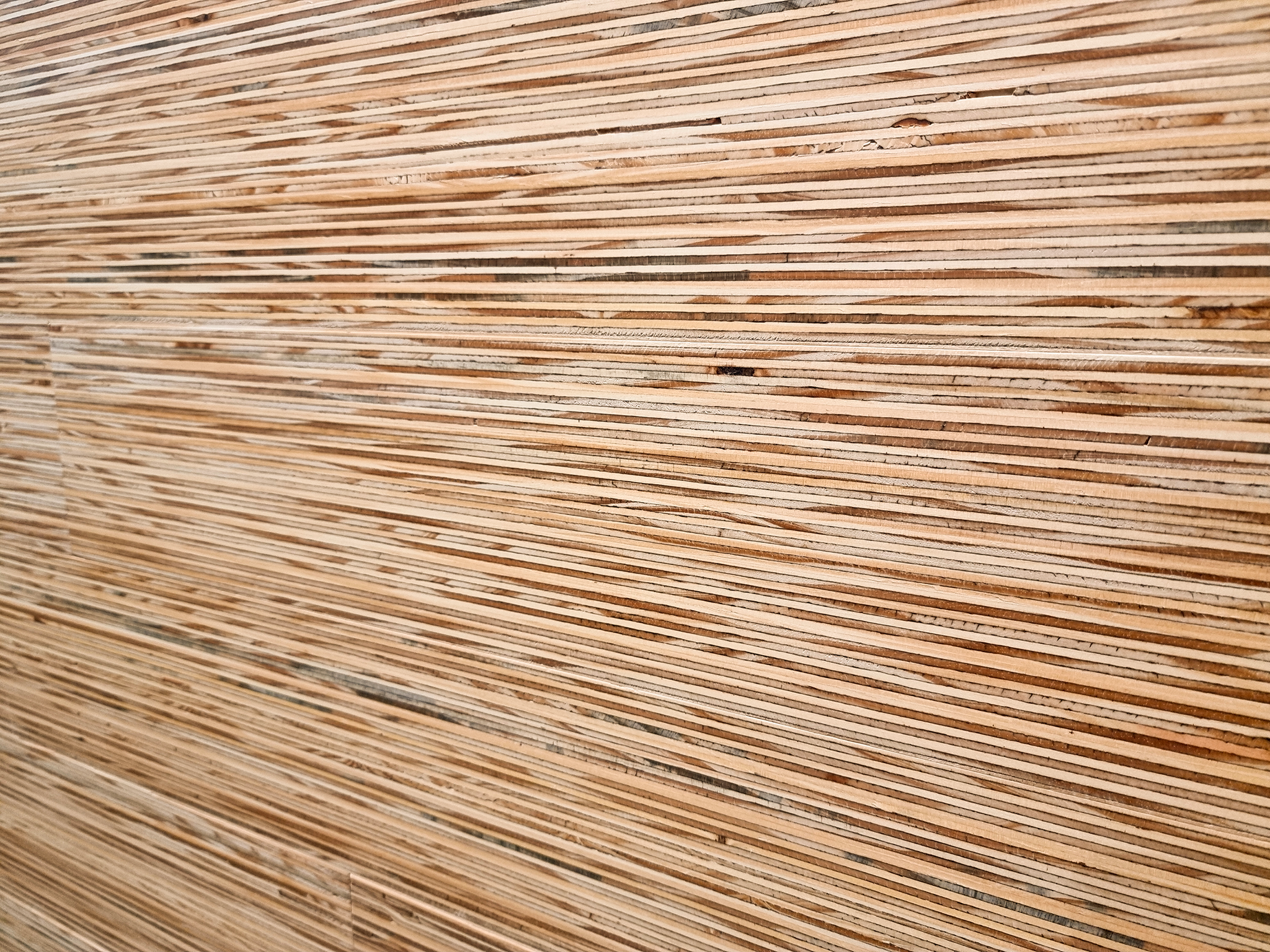 Lines